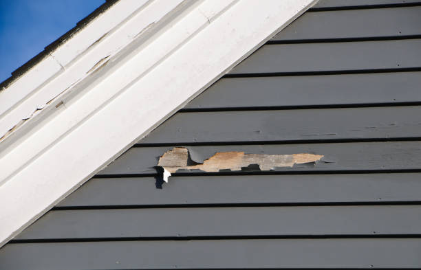 Best Demolition Debris Removal  in Glendale, AZ